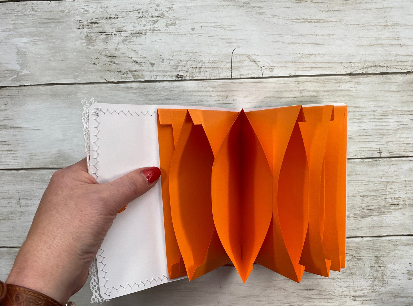 Coupon Accordion Organizer | Expandable Envelope Folder | Ephemera Holder & Filing System | Recipe Storage Book | Expanding Folder