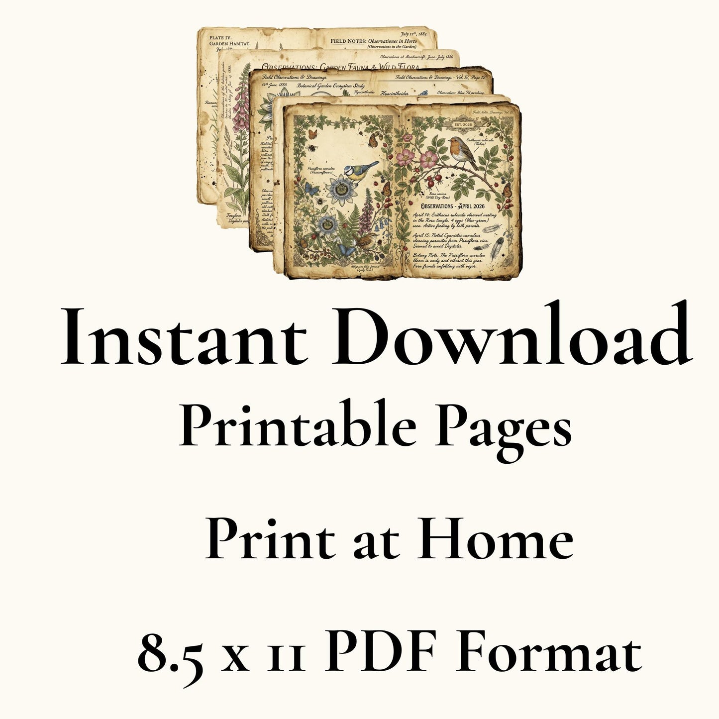 Vintage Botanical Bird Journal Pages Printable Kit, Nature Journal Pages, Rabbit Frog Snail Printable, Cottagecore Digital Download