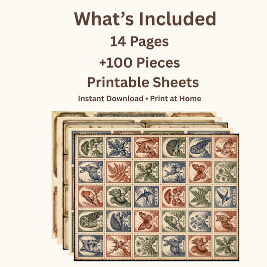 Victorian Archive Labels & Specimen Cards | Printable Natural History Ephemera | Junk Journal Printable Kit