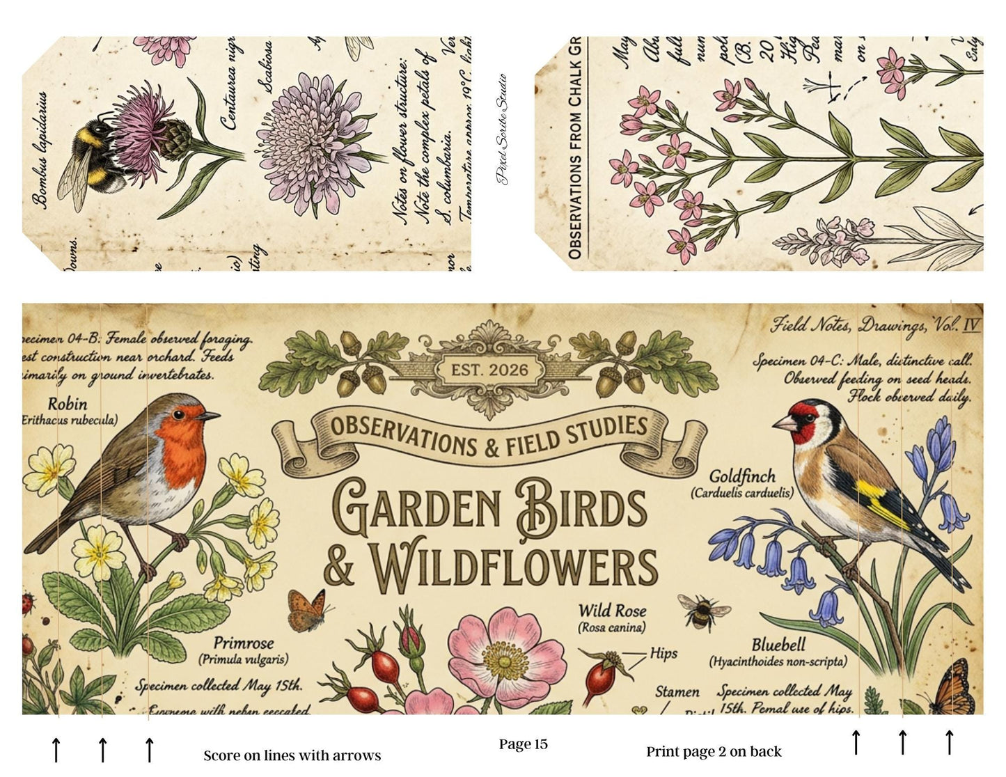 Botanical Field Notes Accordion File Folder Printable | Vintage Nature Ephemera Organizer Kit | Junk Journal Storage System
