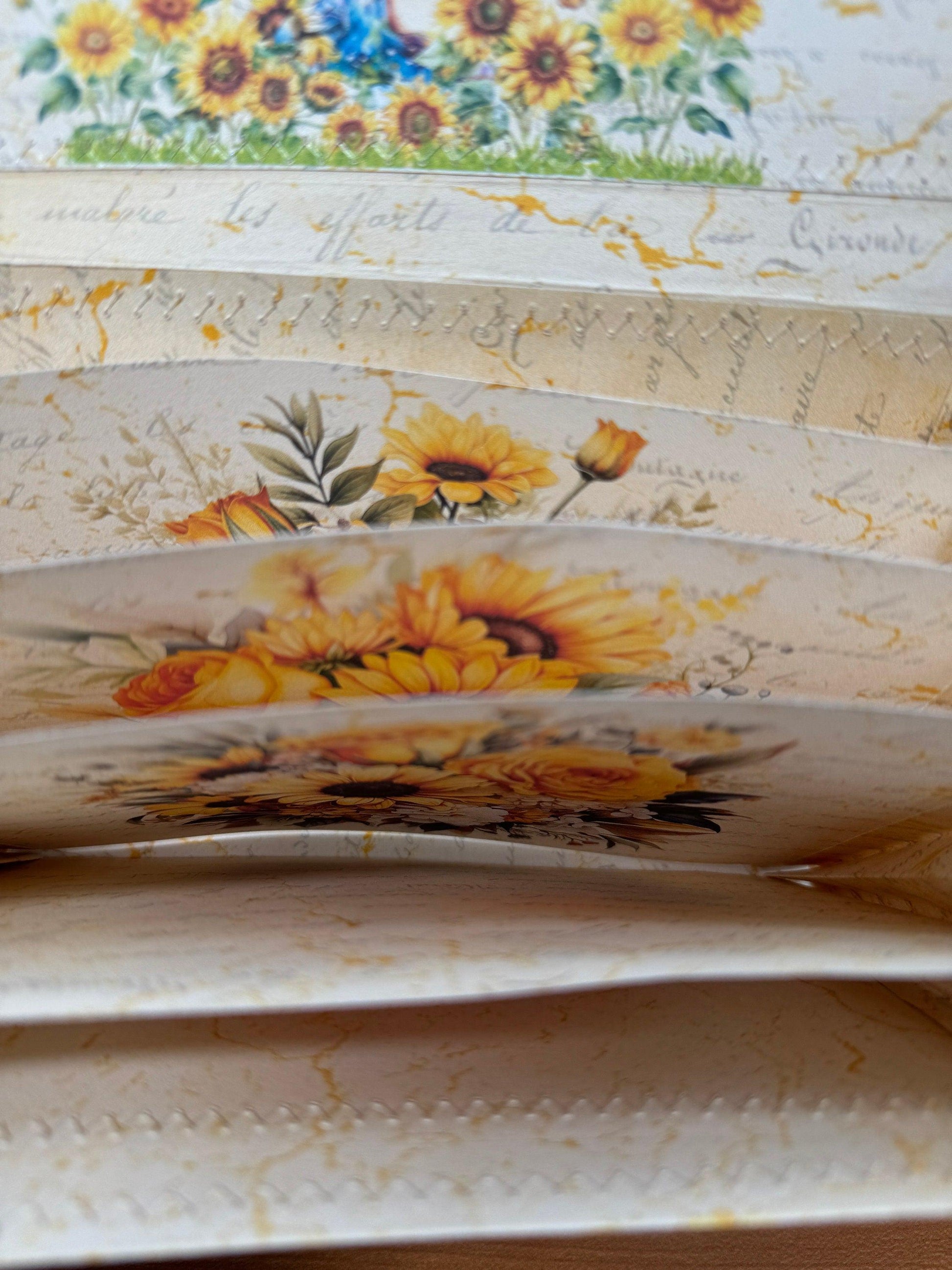 The Beauty of God Accordion File Folder