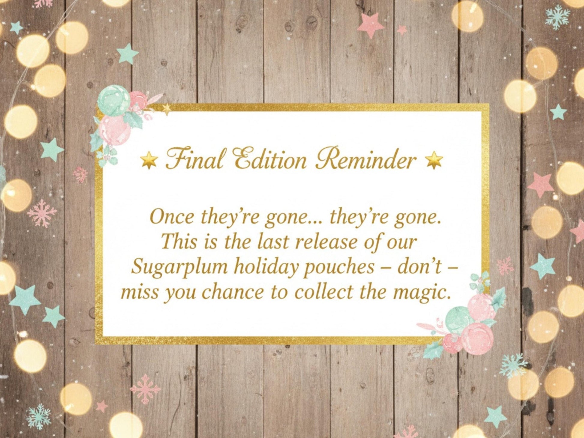 Quilted Pouch 8×6×2 – Holiday Cat Print – Peppermint Lane Limited Edition Bag – White Lights Lining – Boxed Bottom & Slip Pocket