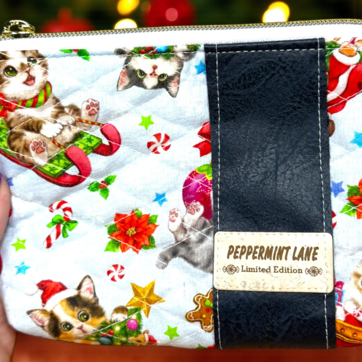Christmas Cat Zipper Pouch, Quilted Cosmetic Bag, Handmade Holiday Gift, Peppermint Lane Limited Edition, Whimsy’s Thread of Sky