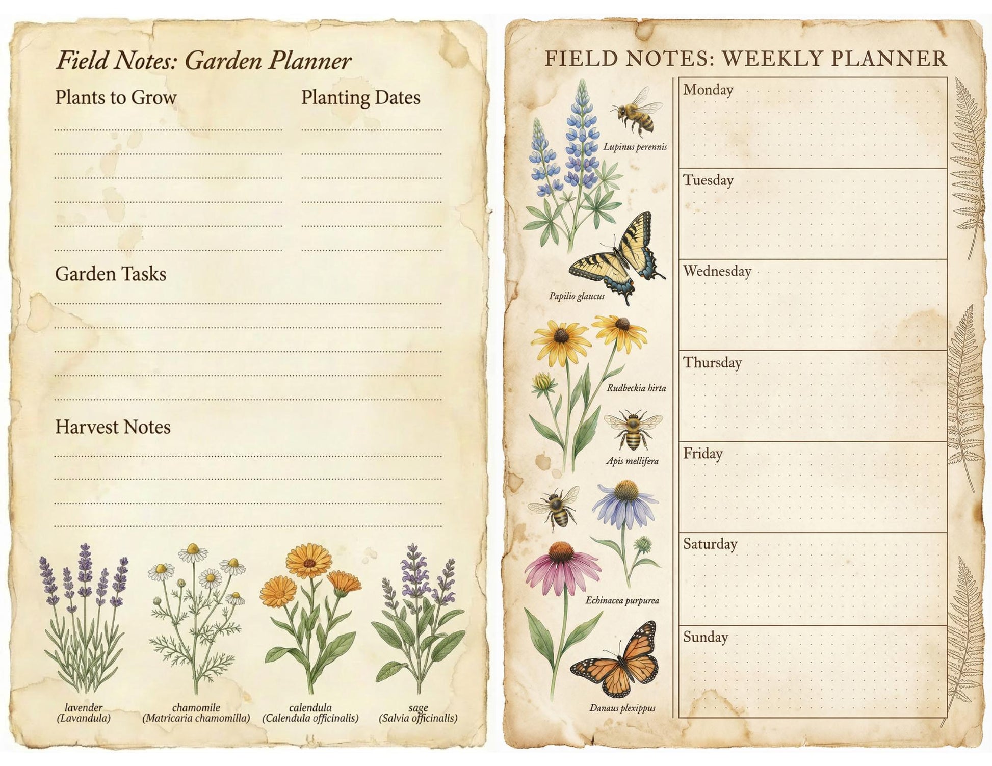 Spring Botanical Journal Printable Kit, Vintage Garden Journal Pages, Junk Journal Ephemera, Nature Planner, Botanical Cards & Envelope