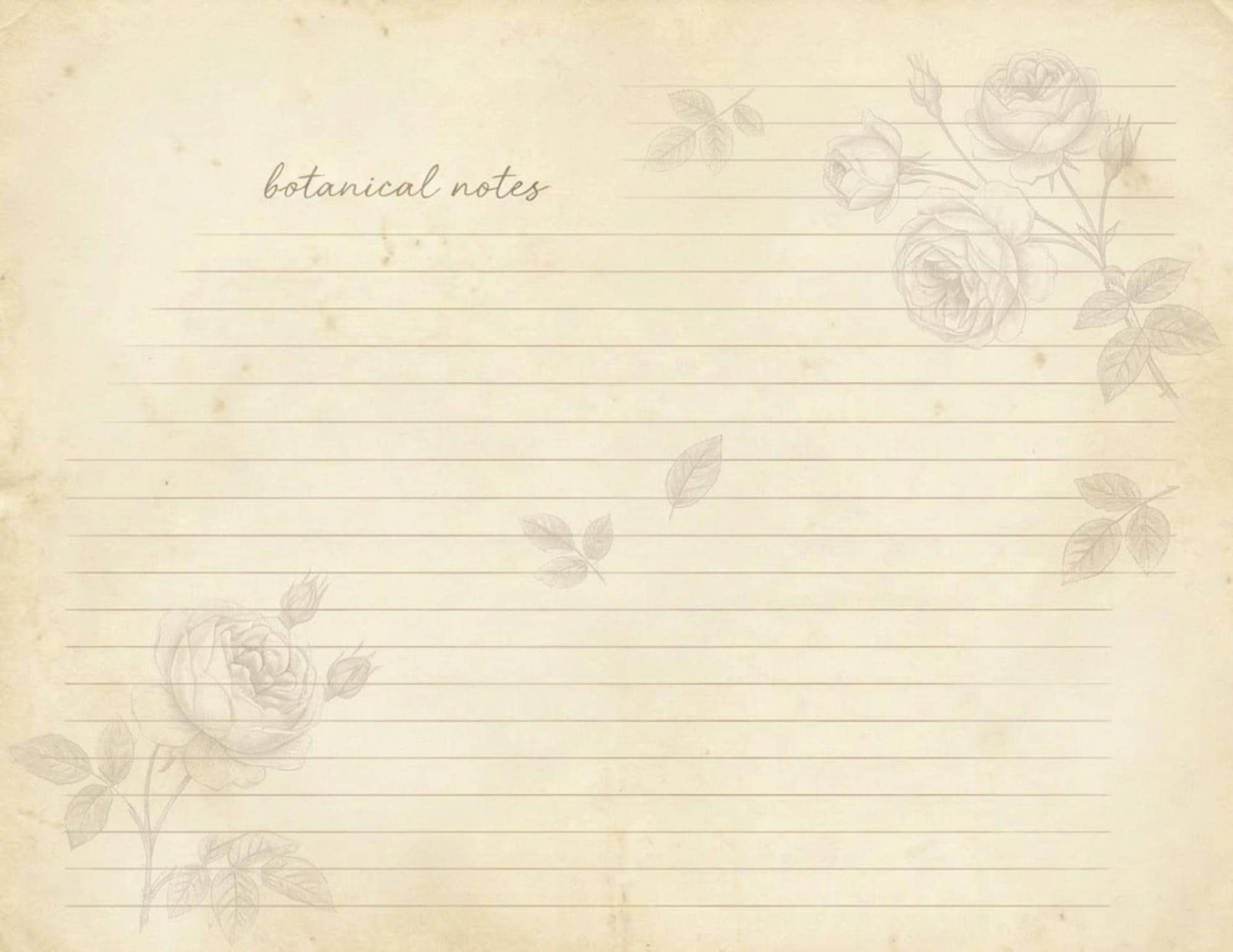 Botanical Lined Notes Journal Kit | Vintage Floral Printable Pages | Junk Journal Writing Paper | Instant Download | 8.5x11 PDF