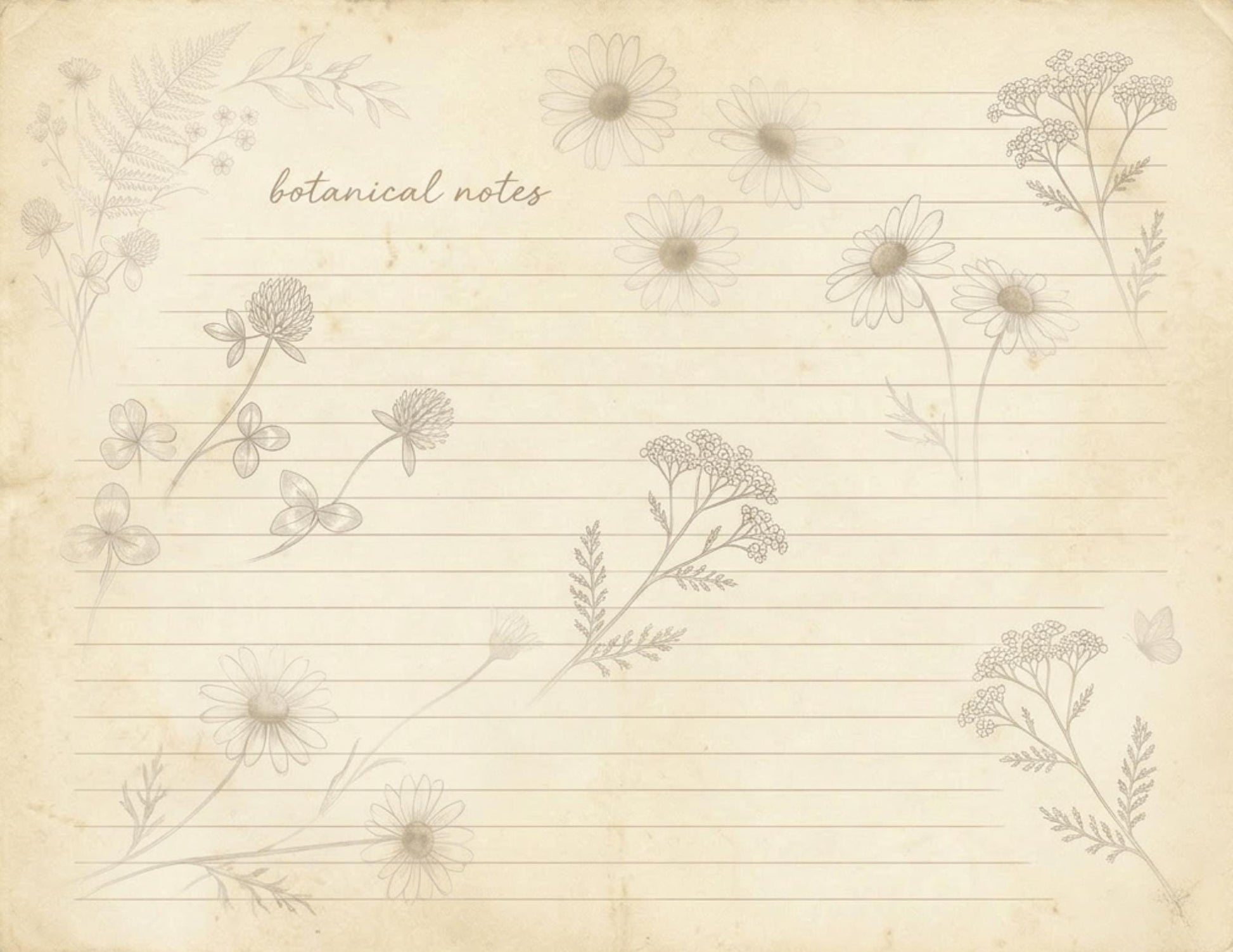 Botanical Lined Notes Journal Kit | Vintage Floral Printable Pages | Junk Journal Writing Paper | Instant Download | 8.5x11 PDF