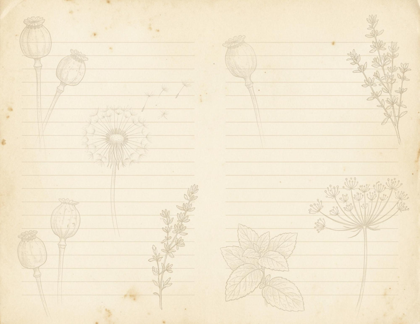 Botanical Lined Notes Journal Kit | Vintage Floral Printable Pages | Junk Journal Writing Paper | Instant Download | 8.5x11 PDF