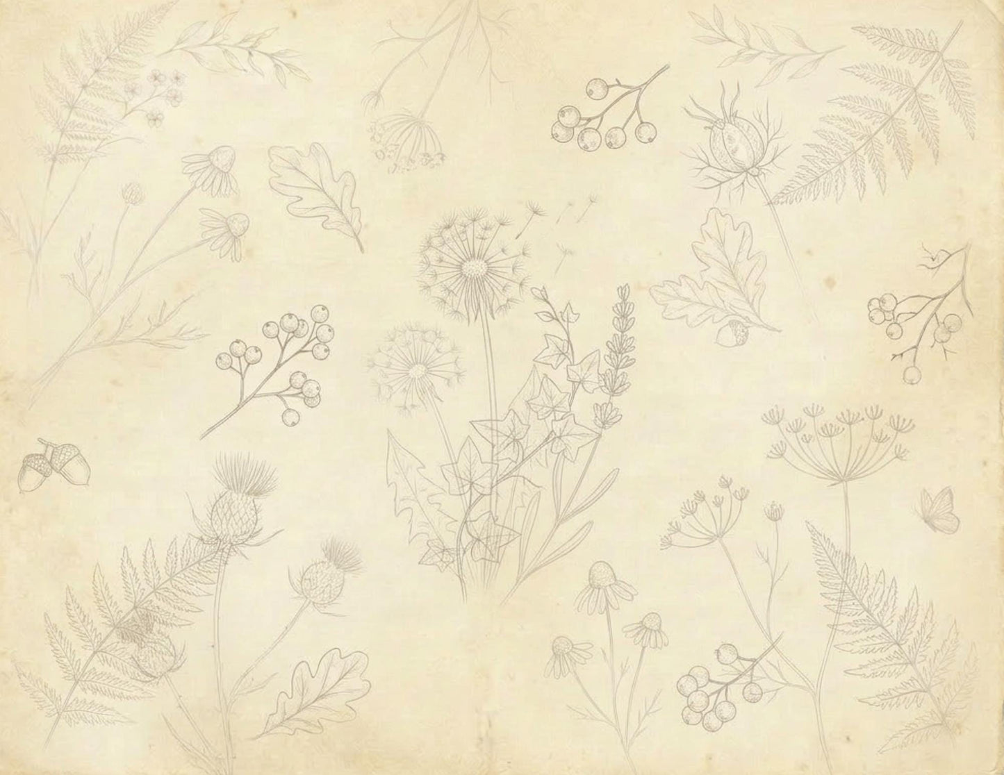 Botanical Notes Decorative Kit | Printable Junk Journal Pages | Vintage Botanical Paper Pack | Instant Download | 8.5x11 PDF
