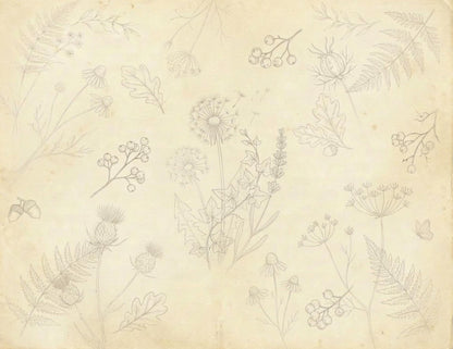Botanical Notes Decorative Kit | Printable Junk Journal Pages | Vintage Botanical Paper Pack | Instant Download | 8.5x11 PDF