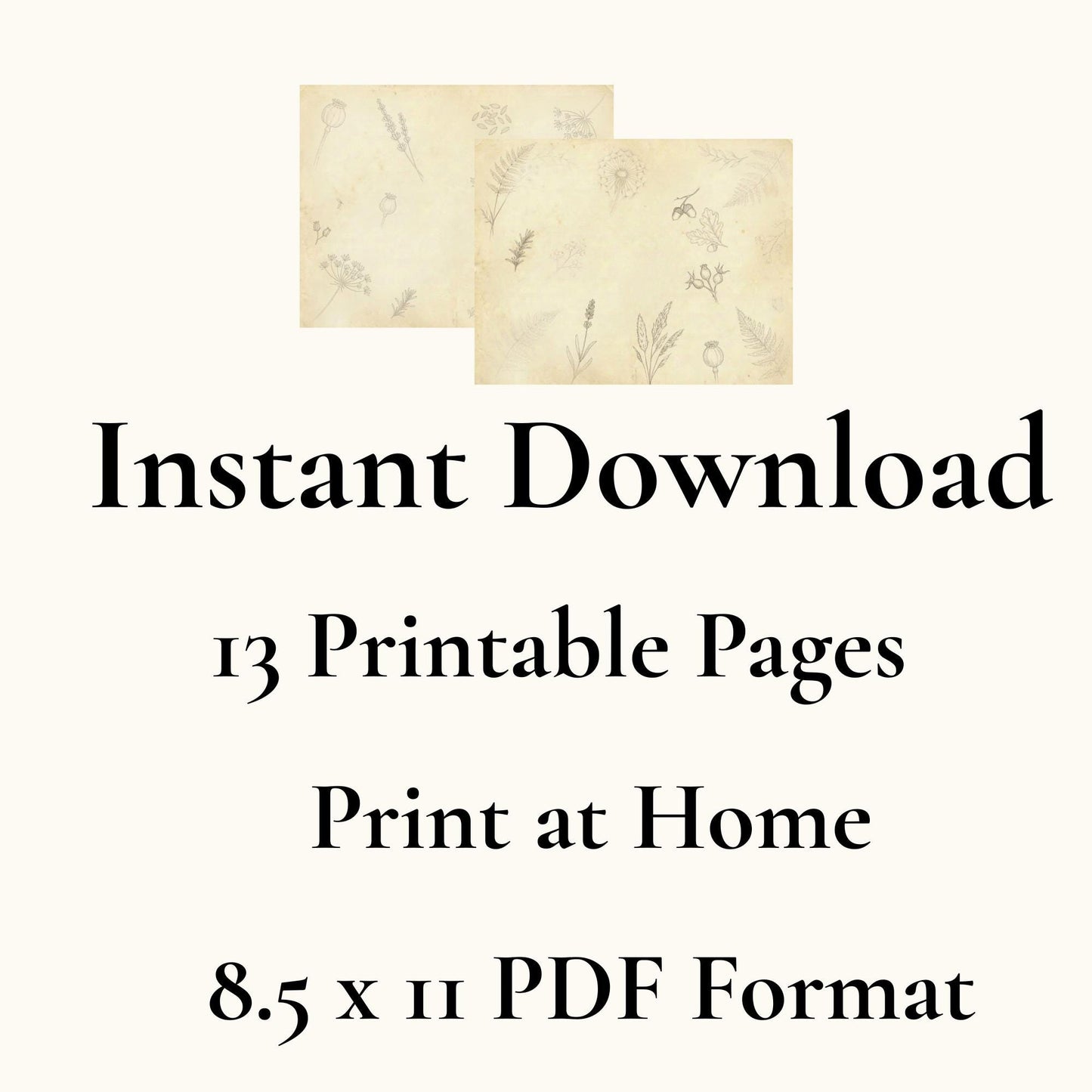 Botanical Notes Decorative Kit | Printable Junk Journal Pages | Vintage Botanical Paper Pack | Instant Download | 8.5x11 PDF