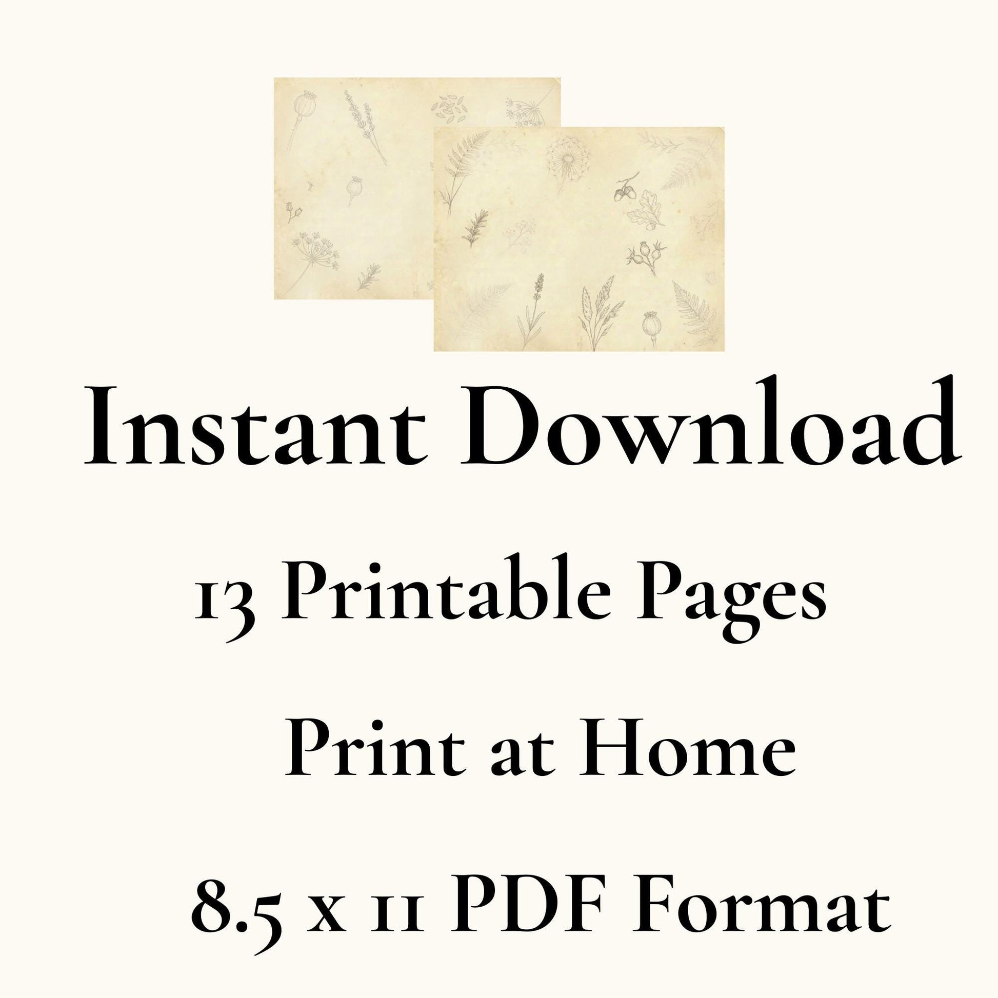 Botanical Notes Decorative Kit | Printable Junk Journal Pages | Vintage Botanical Paper Pack | Instant Download | 8.5x11 PDF