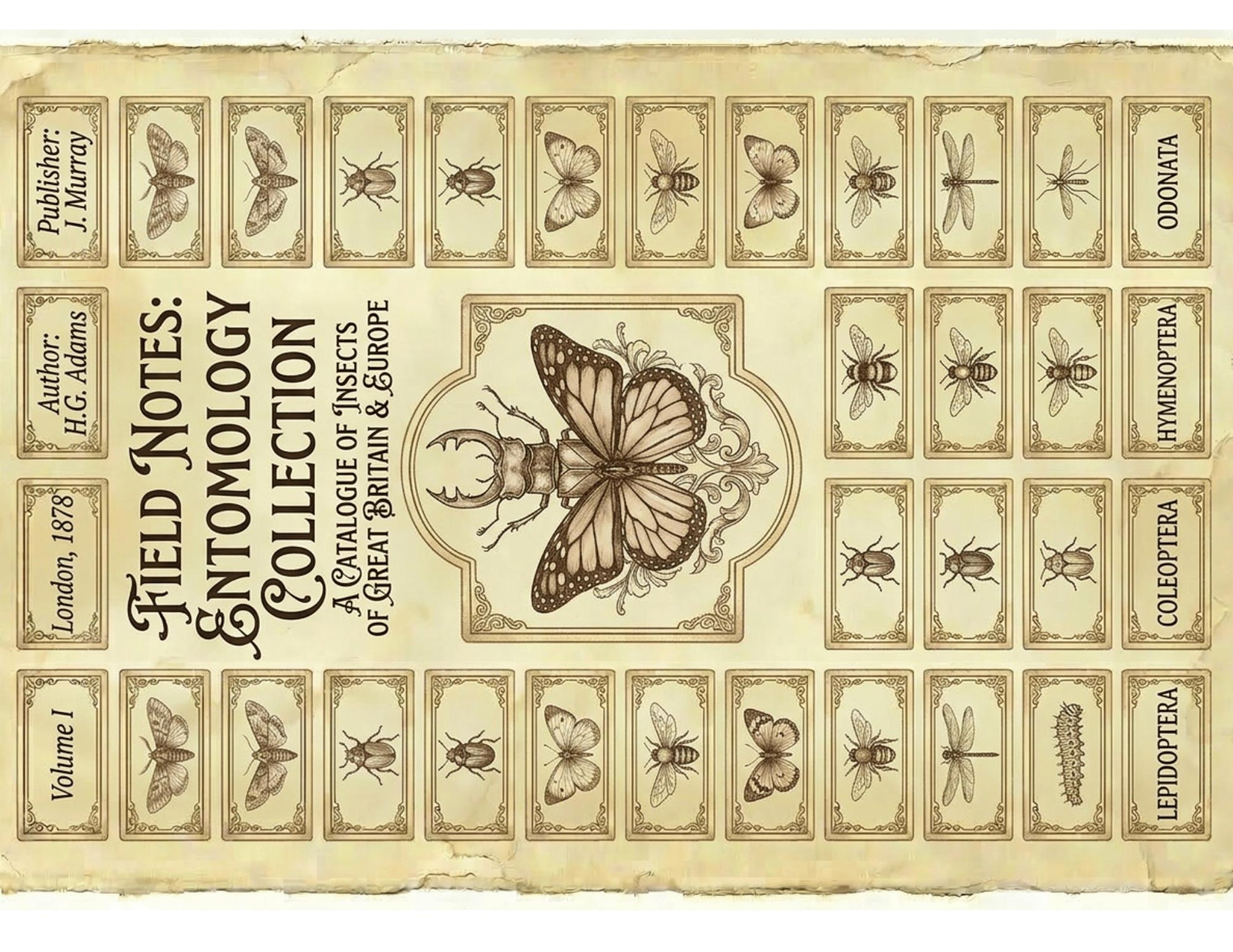 Victorian Naturalist Junk Journal Kit | Botanical Field Notes Printable | Vintage Ephemera Journal Pages | Instant Download Digital Kit