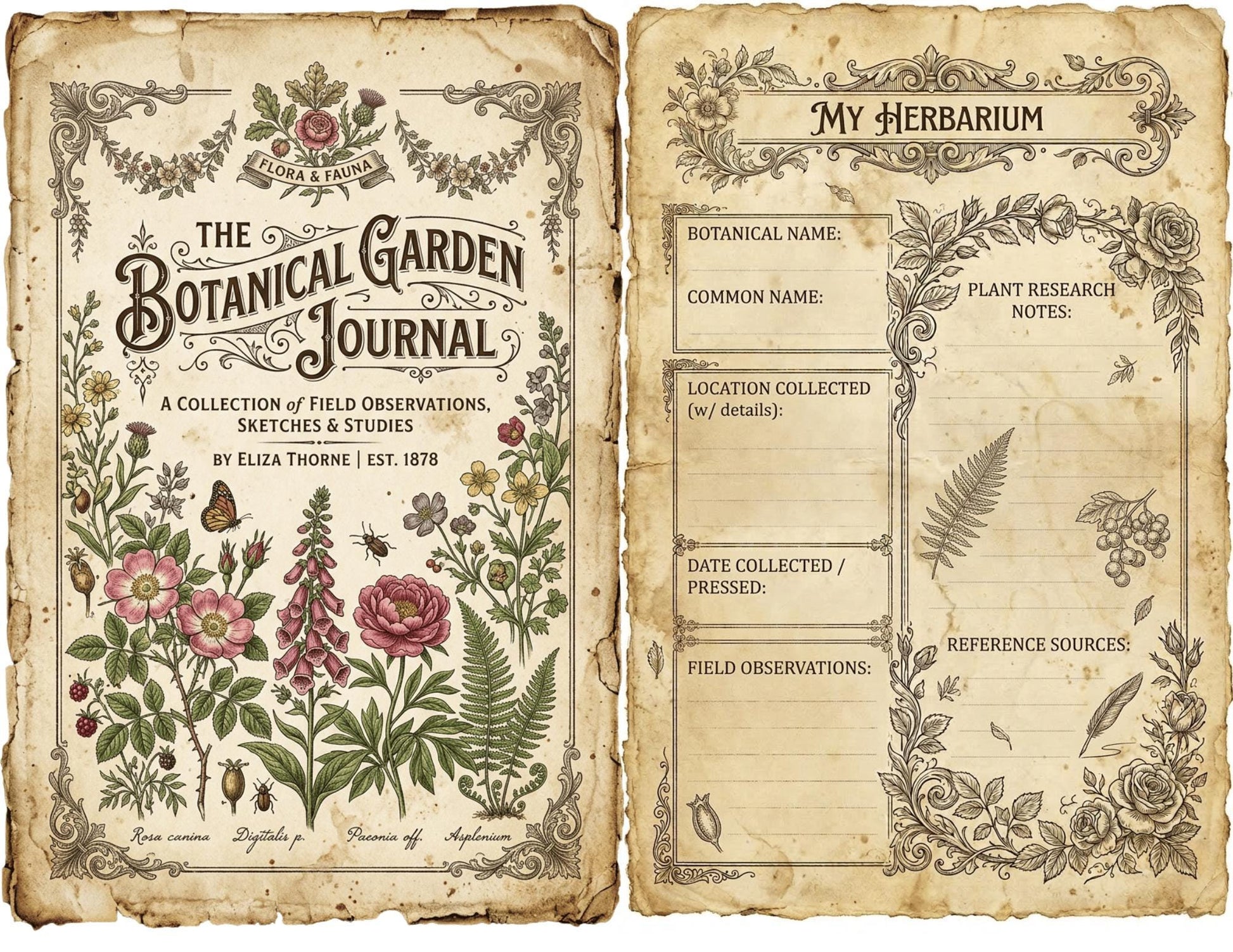 Victorian Naturalist Junk Journal Kit | Botanical Field Notes Printable | Vintage Ephemera Journal Pages | Instant Download Digital Kit