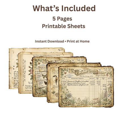 Vintage Botanical Bird Journal Pages Printable | Robin Blue Tit Nature Ephemera | Bee Butterfly Ledger Pages | Digital Download