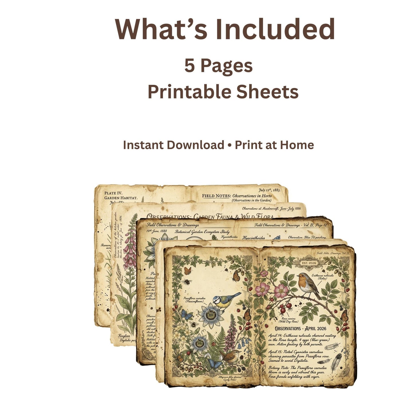 Vintage Botanical Bird Journal Pages Printable Kit, Nature Journal Pages, Rabbit Frog Snail Printable, Cottagecore Digital Download