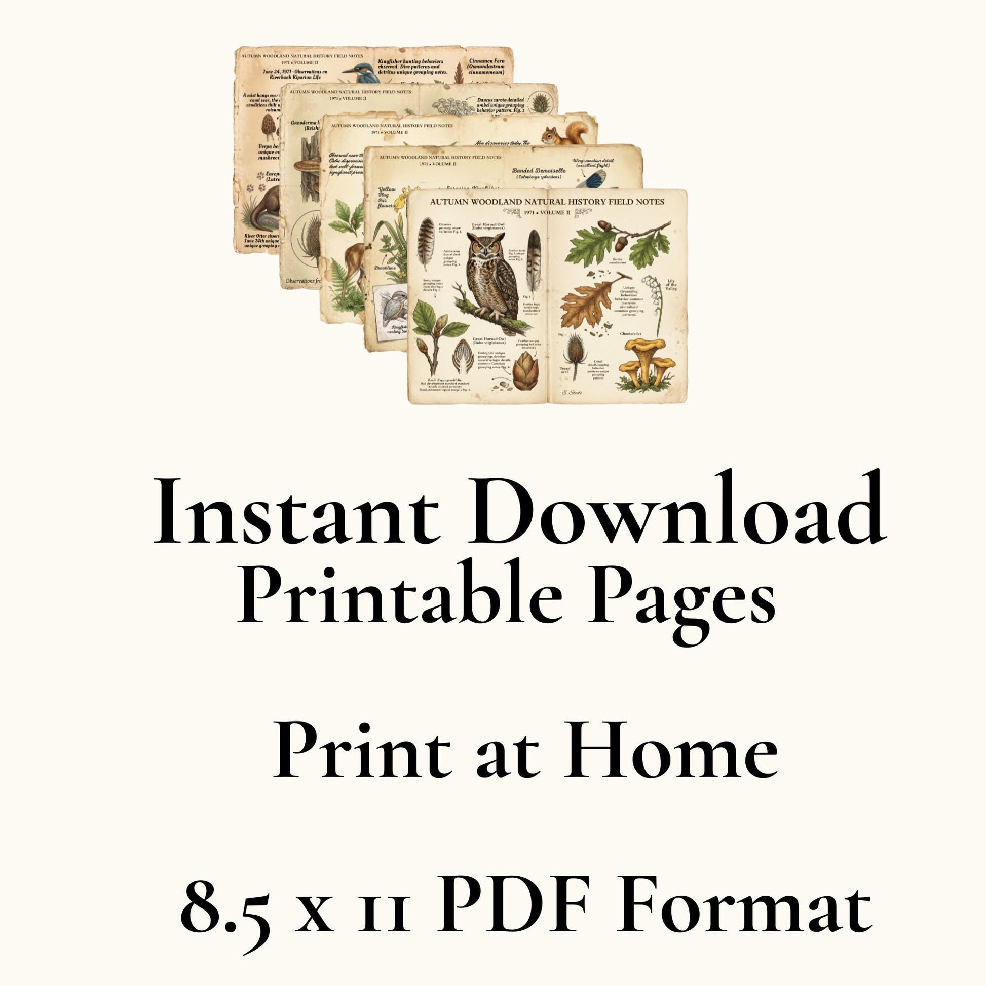 Field Notes Woodland Natural History Vol II Printable Junk Journal Pages, Vintage Woodland Ephemera, Nature Journal, Botanical Papers