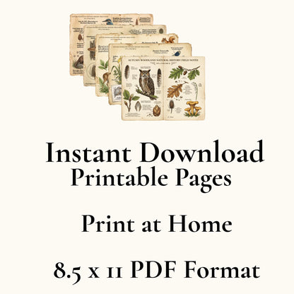 Field Notes Woodland Natural History Vol II Printable Junk Journal Pages, Vintage Woodland Ephemera, Nature Journal, Botanical Papers