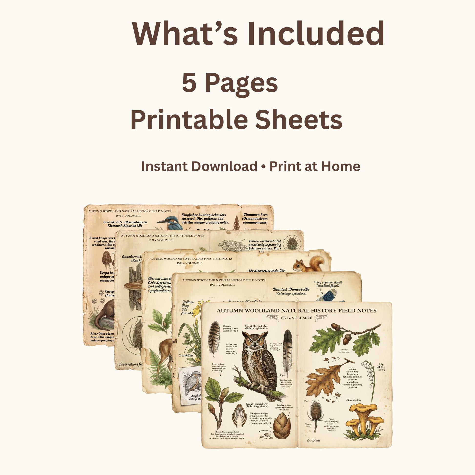 Field Notes Woodland Natural History Vol II Printable Junk Journal Pages, Vintage Woodland Ephemera, Nature Journal, Botanical Papers