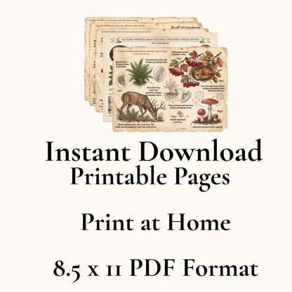 Autumn Woodland Field Notes Volume III Printable Pages | Woodland Junk Journal Kit | Vintage Nature Ephemera