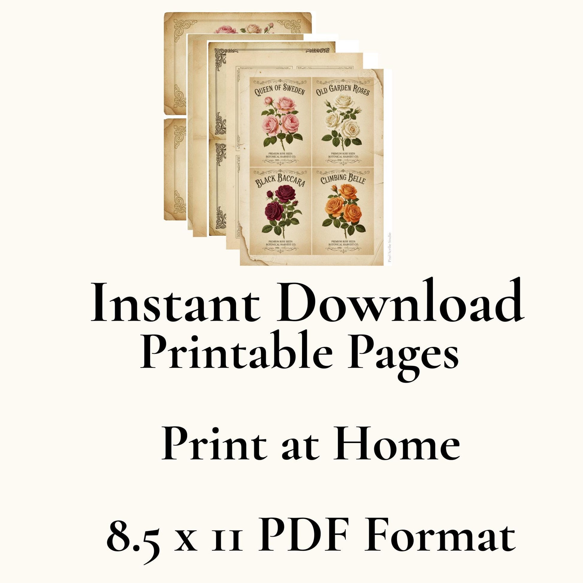 Vintage Rose Journal Cards Printable, Victorian Floral Ephemera, Botanical Junk Journal Cards, Printable Collage Cards