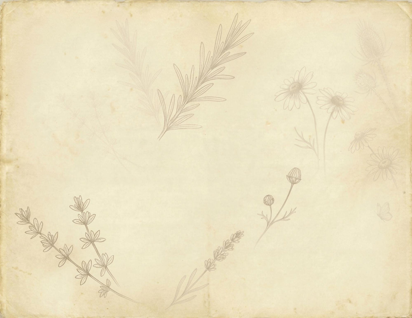 Botanical Notes Decorative Kit | Printable Junk Journal Pages | Vintage Botanical Paper Pack | Instant Download | 8.5x11 PDF