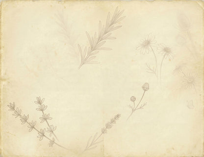 Botanical Notes Decorative Kit | Printable Junk Journal Pages | Vintage Botanical Paper Pack | Instant Download | 8.5x11 PDF