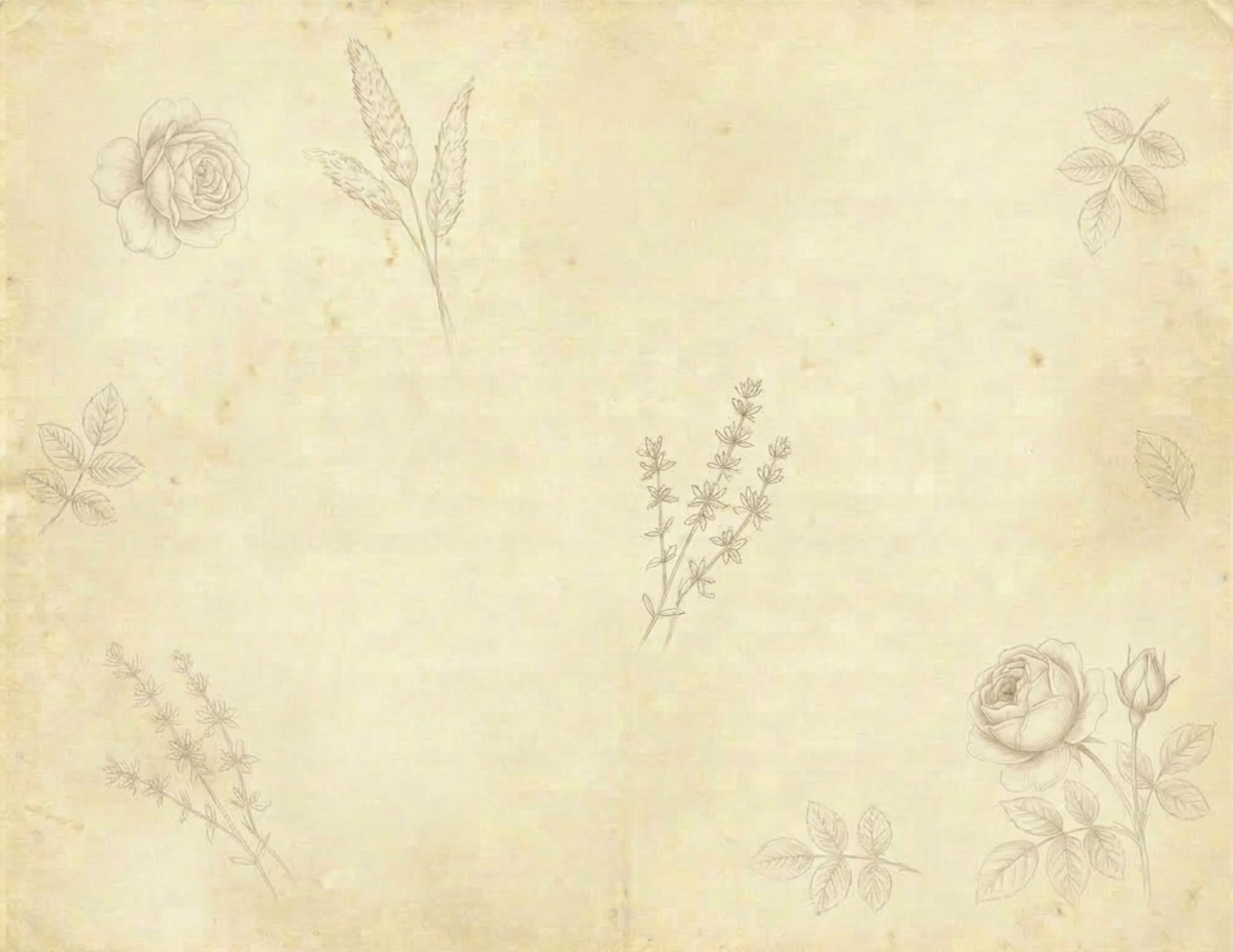 Botanical Notes Decorative Kit | Printable Junk Journal Pages | Vintage Botanical Paper Pack | Instant Download | 8.5x11 PDF