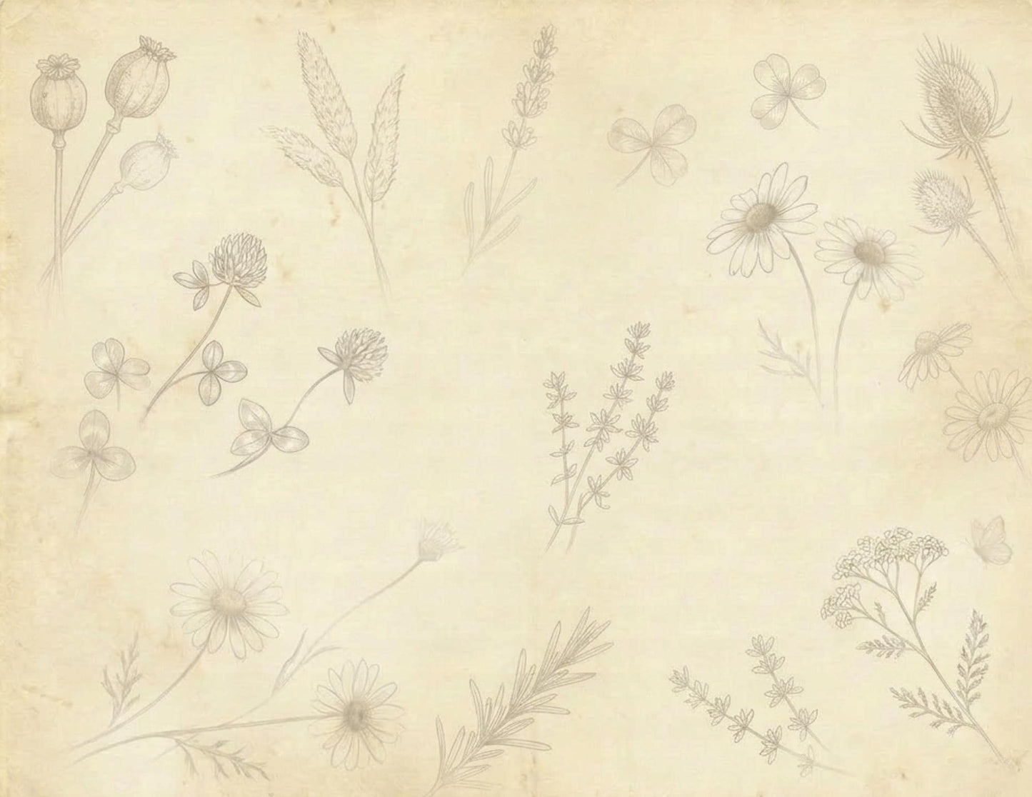 Botanical Notes Decorative Kit | Printable Junk Journal Pages | Vintage Botanical Paper Pack | Instant Download | 8.5x11 PDF