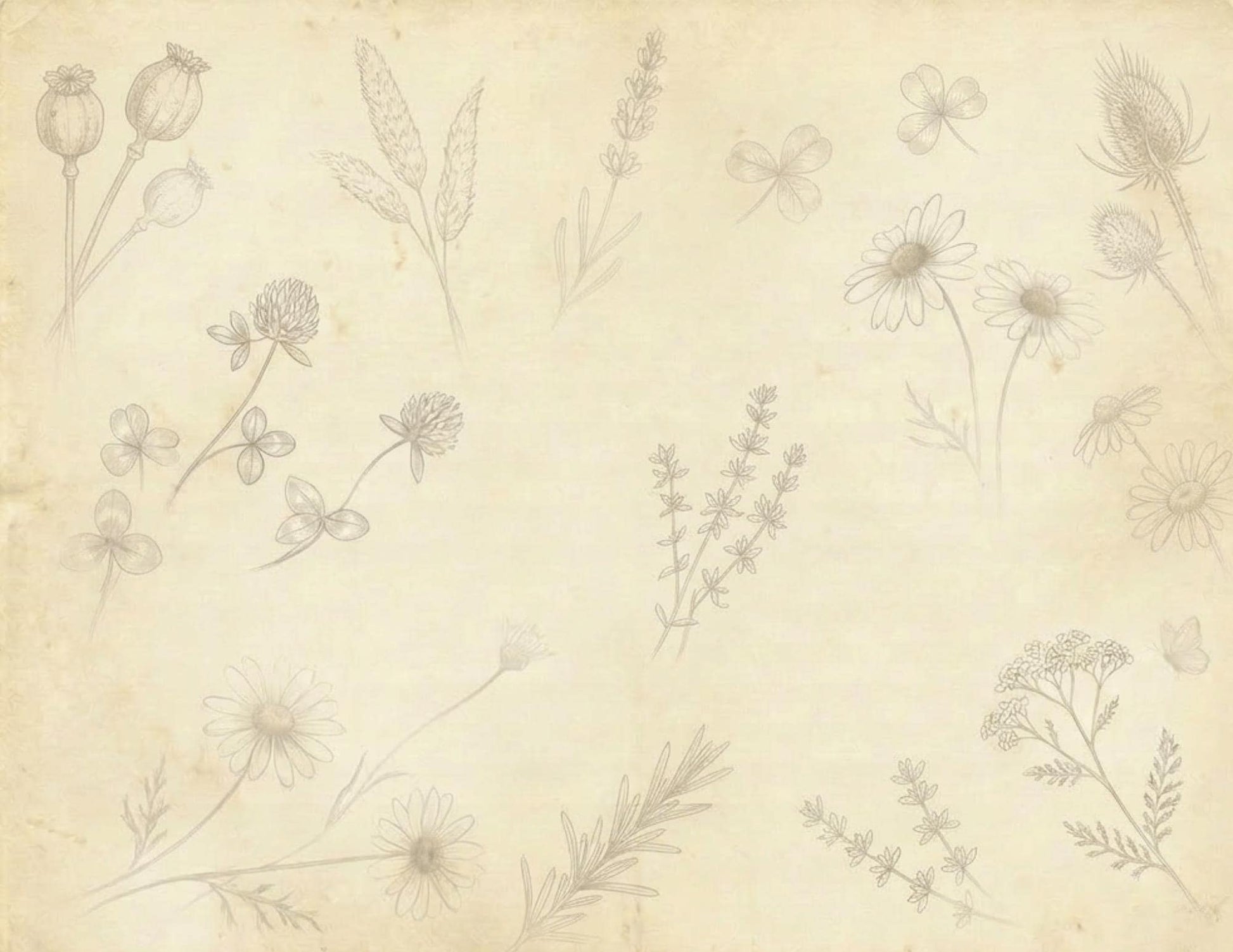 Botanical Notes Decorative Kit | Printable Junk Journal Pages | Vintage Botanical Paper Pack | Instant Download | 8.5x11 PDF