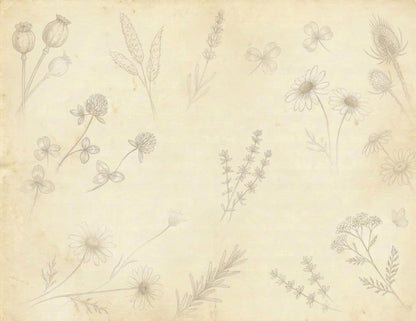 Botanical Notes Decorative Kit | Printable Junk Journal Pages | Vintage Botanical Paper Pack | Instant Download | 8.5x11 PDF