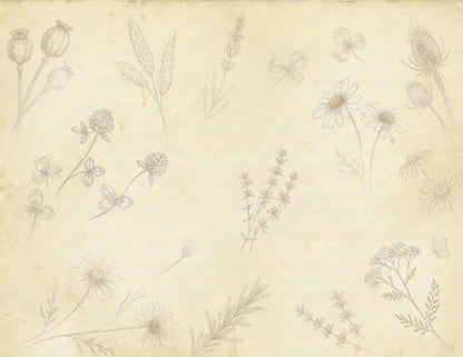 Botanical Notes Decorative Kit | Printable Junk Journal Pages | Vintage Botanical Paper Pack | Instant Download | 8.5x11 PDF