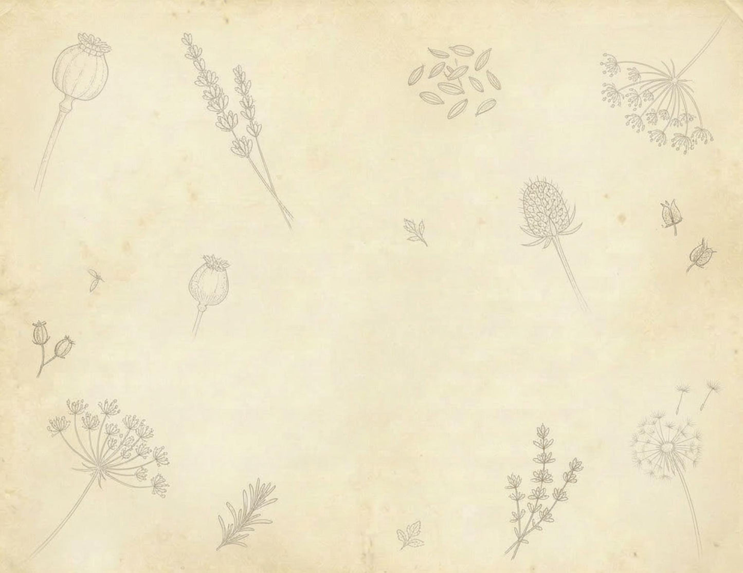 Botanical Notes Decorative Kit | Printable Junk Journal Pages | Vintage Botanical Paper Pack | Instant Download | 8.5x11 PDF
