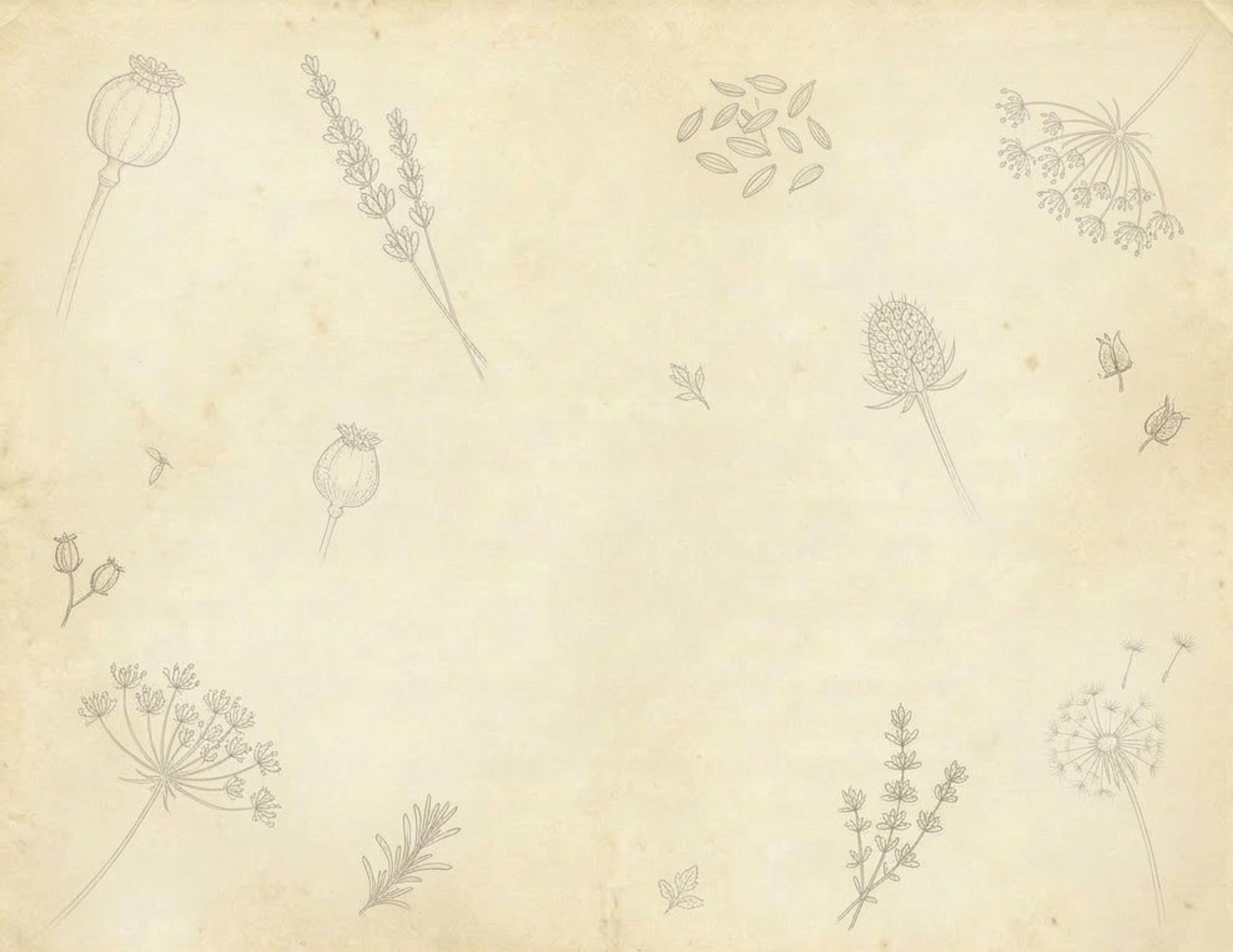 Botanical Notes Decorative Kit | Printable Junk Journal Pages | Vintage Botanical Paper Pack | Instant Download | 8.5x11 PDF