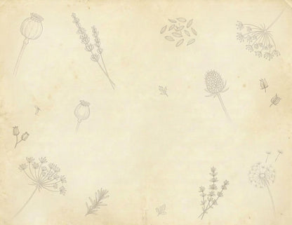 Botanical Notes Decorative Kit | Printable Junk Journal Pages | Vintage Botanical Paper Pack | Instant Download | 8.5x11 PDF