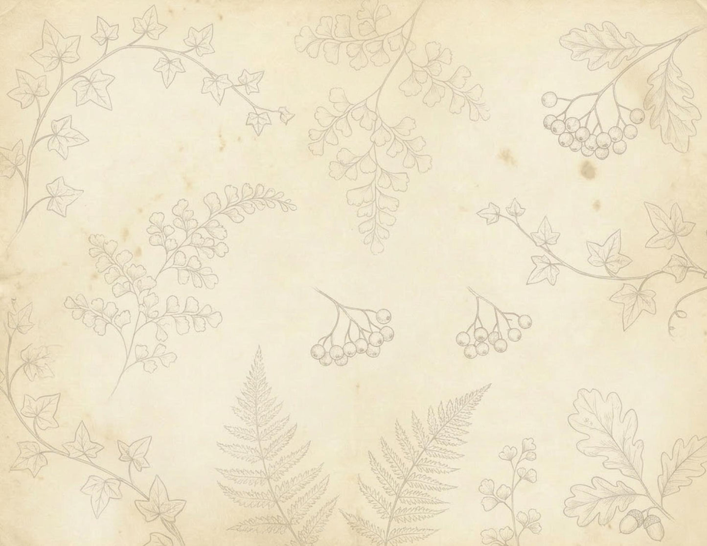 Botanical Notes Decorative Kit | Printable Junk Journal Pages | Vintage Botanical Paper Pack | Instant Download | 8.5x11 PDF