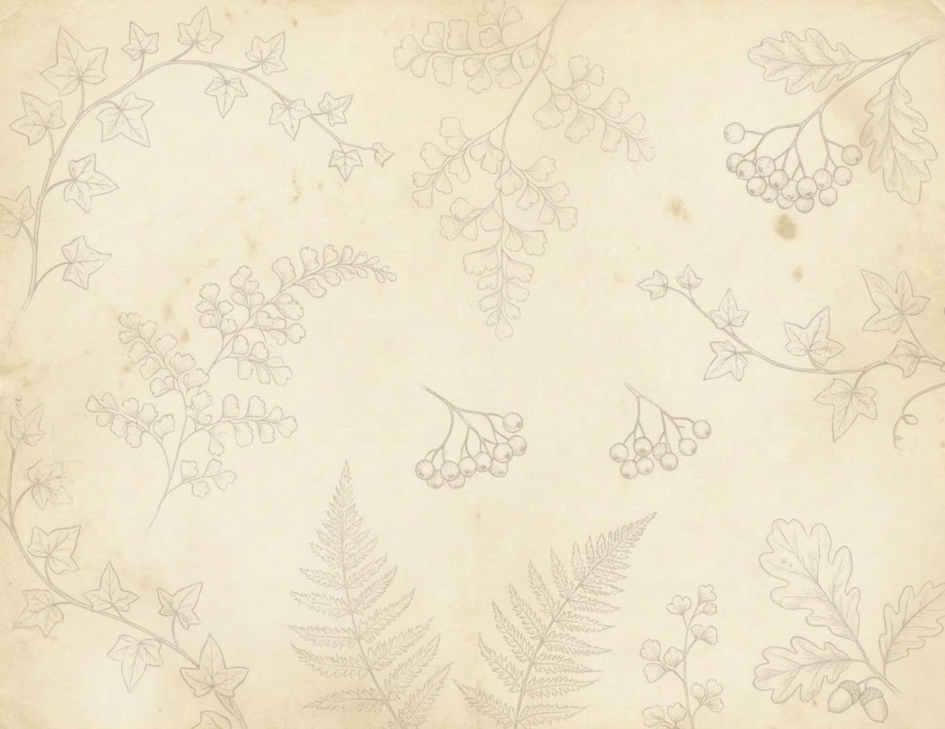 Botanical Notes Decorative Kit | Printable Junk Journal Pages | Vintage Botanical Paper Pack | Instant Download | 8.5x11 PDF