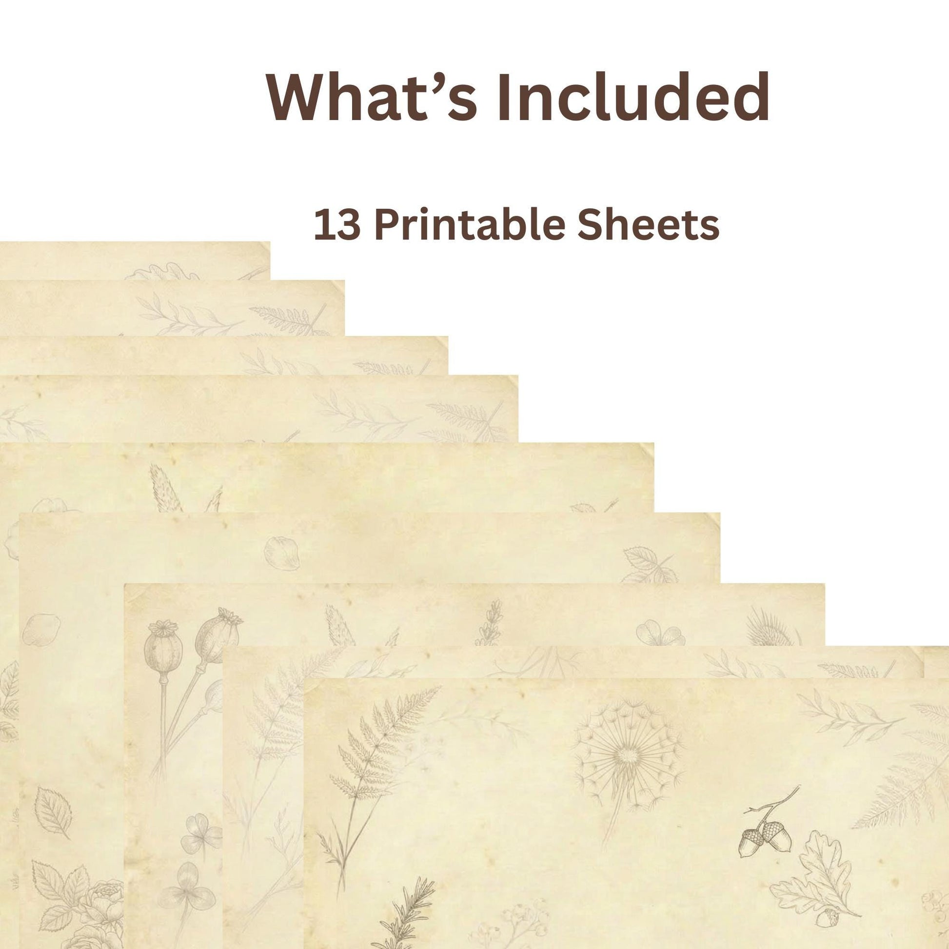 Botanical Notes Decorative Kit | Printable Junk Journal Pages | Vintage Botanical Paper Pack | Instant Download | 8.5x11 PDF