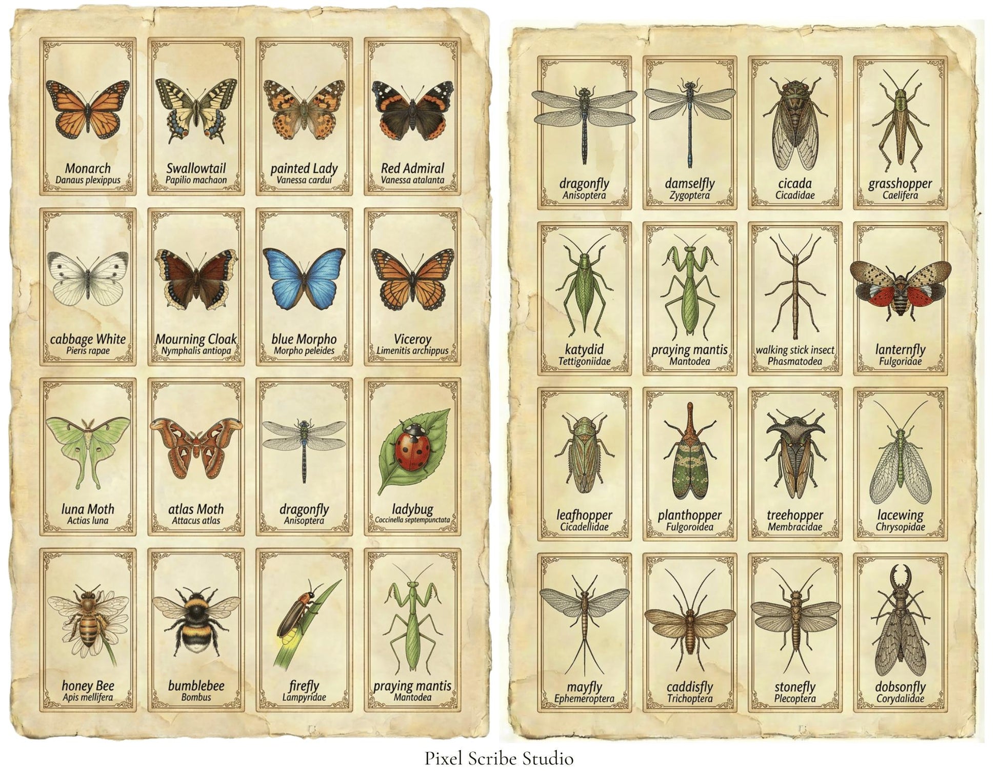 Vintage Naturalist Ephemera Kit | Printable Junk Journal Bundle | Botanical Labels & Specimen Cards