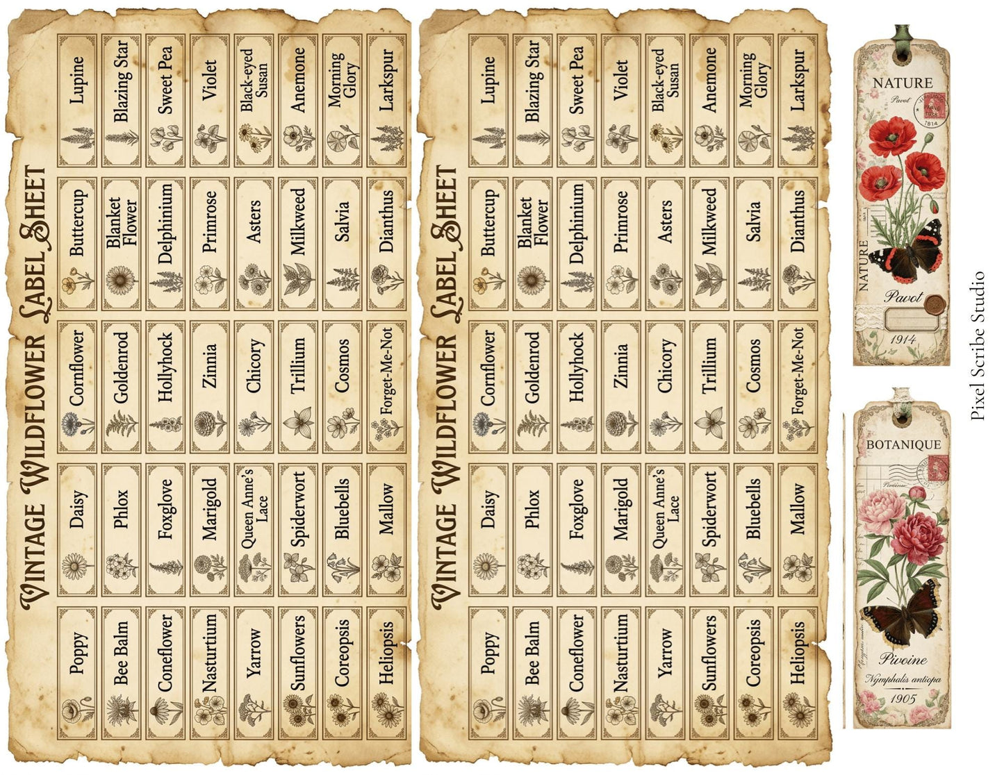 Vintage Naturalist Ephemera Kit | Printable Junk Journal Bundle | Botanical Labels & Specimen Cards