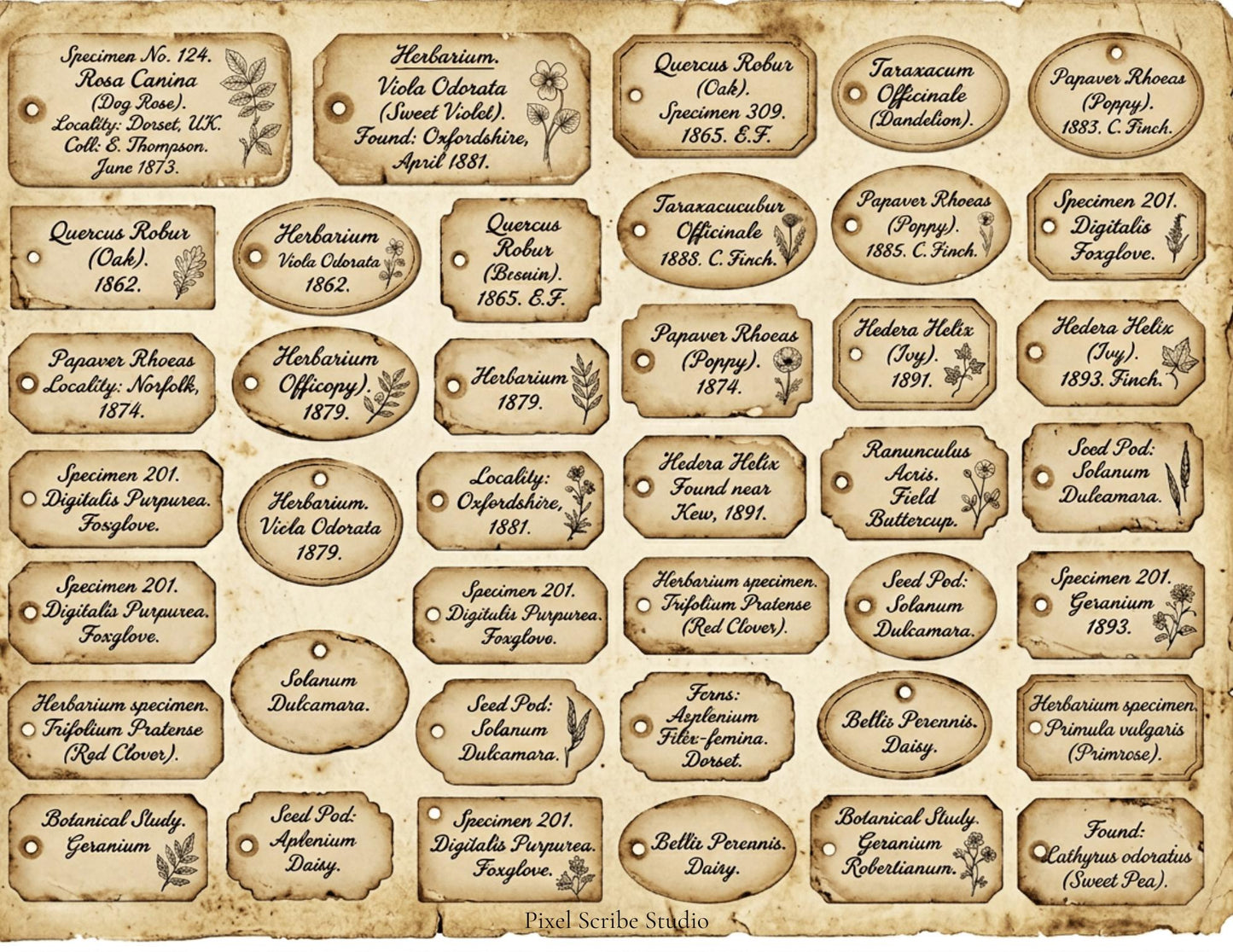 Vintage Naturalist Ephemera Kit | Printable Junk Journal Bundle | Botanical Labels & Specimen Cards