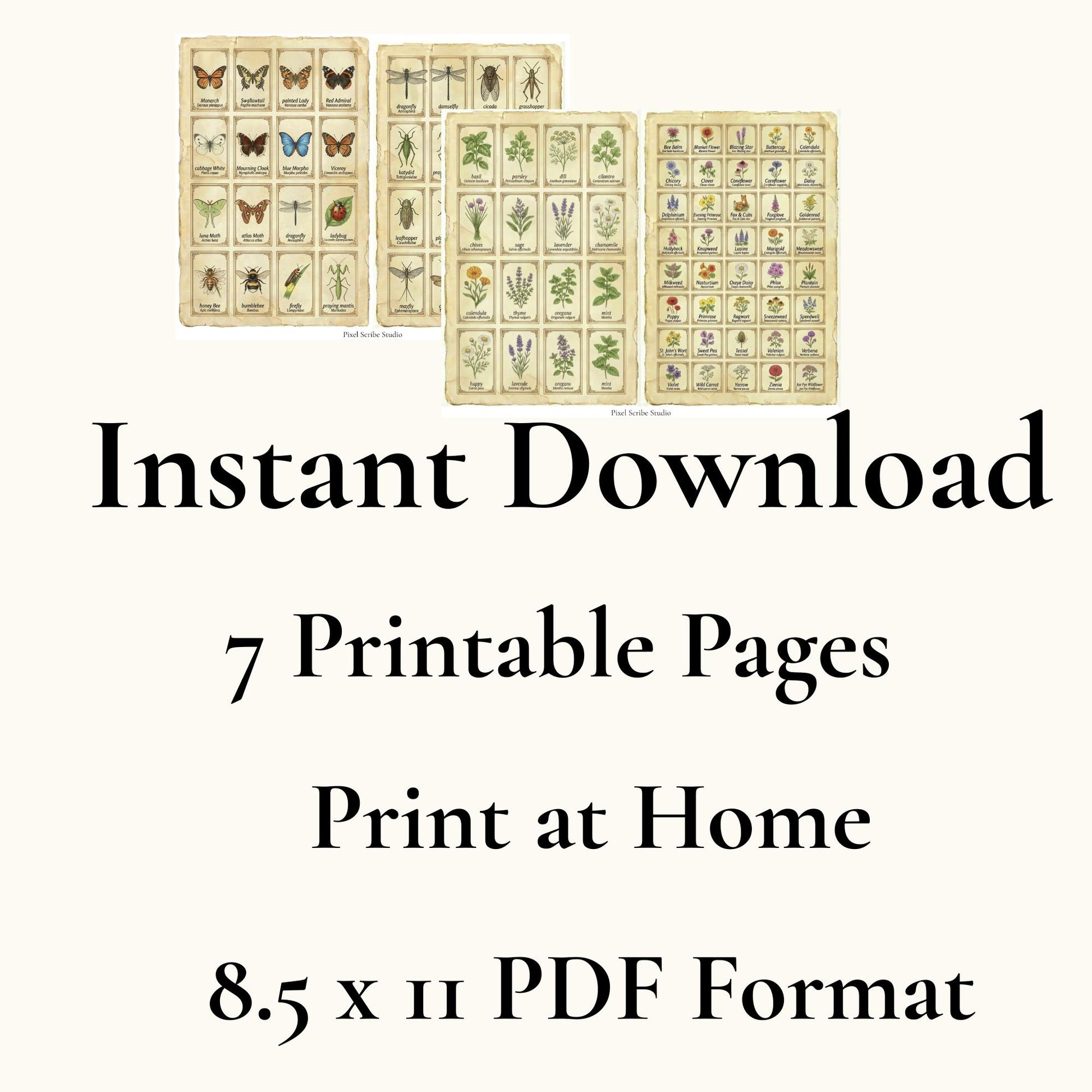 Vintage Naturalist Ephemera Kit | Printable Junk Journal Bundle | Botanical Labels & Specimen Cards