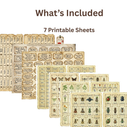 Vintage Naturalist Ephemera Kit | Printable Junk Journal Bundle | Botanical Labels & Specimen Cards