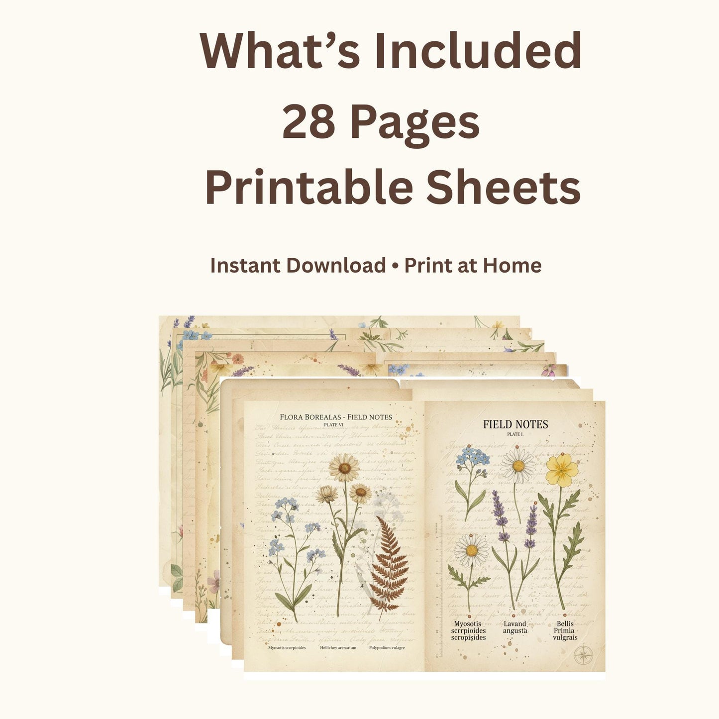 Botanical Field Notes – Flora & Fauna Journal Kit | Vintage Nature Printable Pages