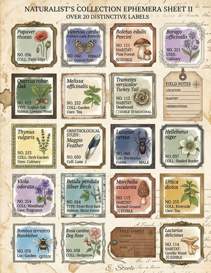 Naturalist’s Field Study Collection | Printable Botanical & Zoological Ephemera, Vintage Specimen Labels, Junk Journal Kit