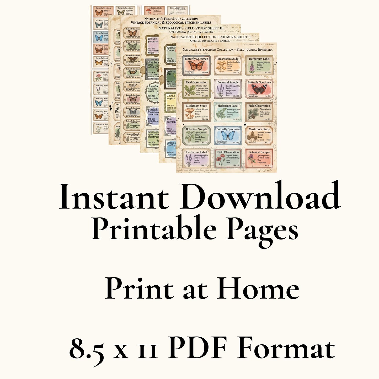 Naturalist’s Field Study Collection | Printable Botanical & Zoological Ephemera, Vintage Specimen Labels, Junk Journal Kit