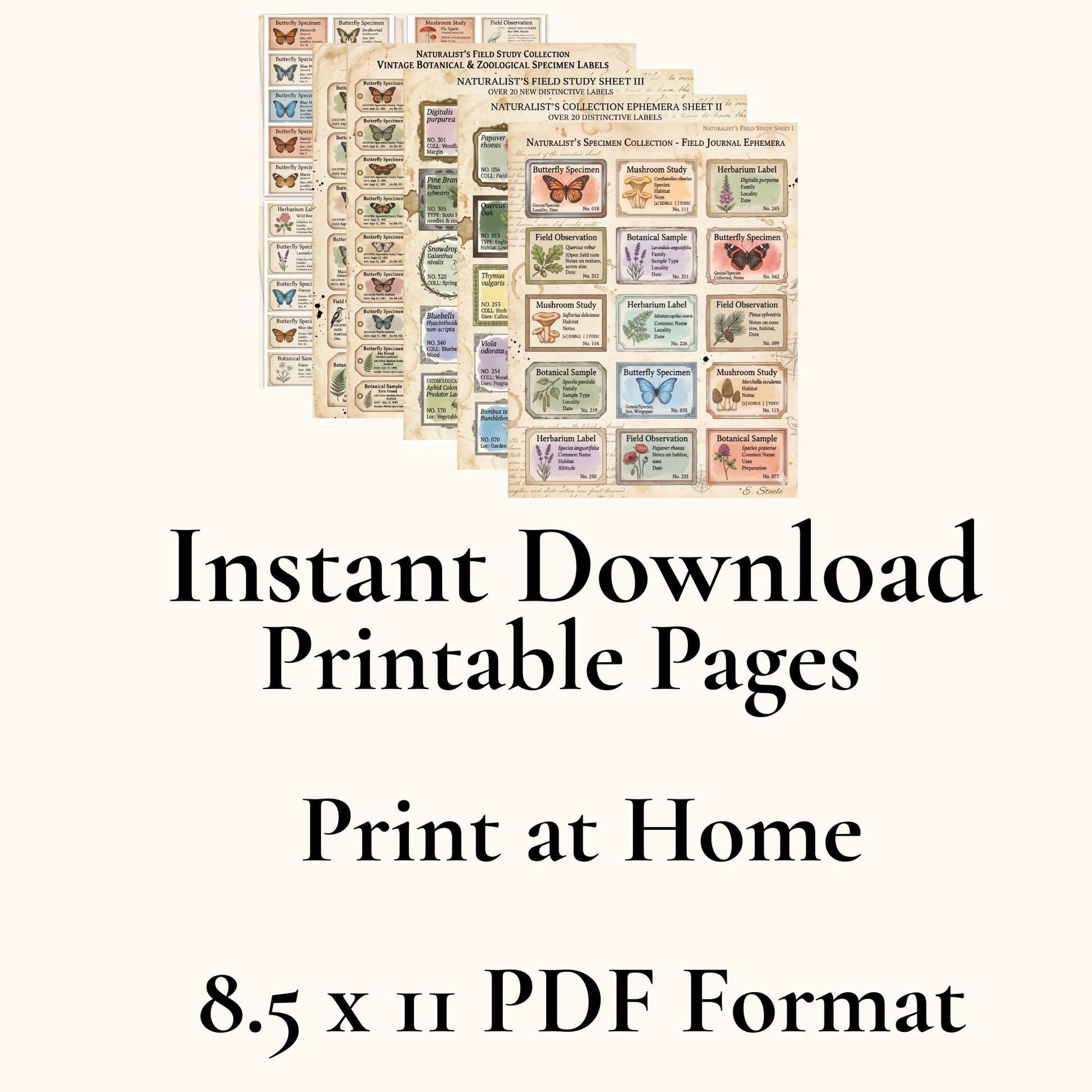 Naturalist’s Field Study Collection | Printable Botanical & Zoological Ephemera, Vintage Specimen Labels, Junk Journal Kit