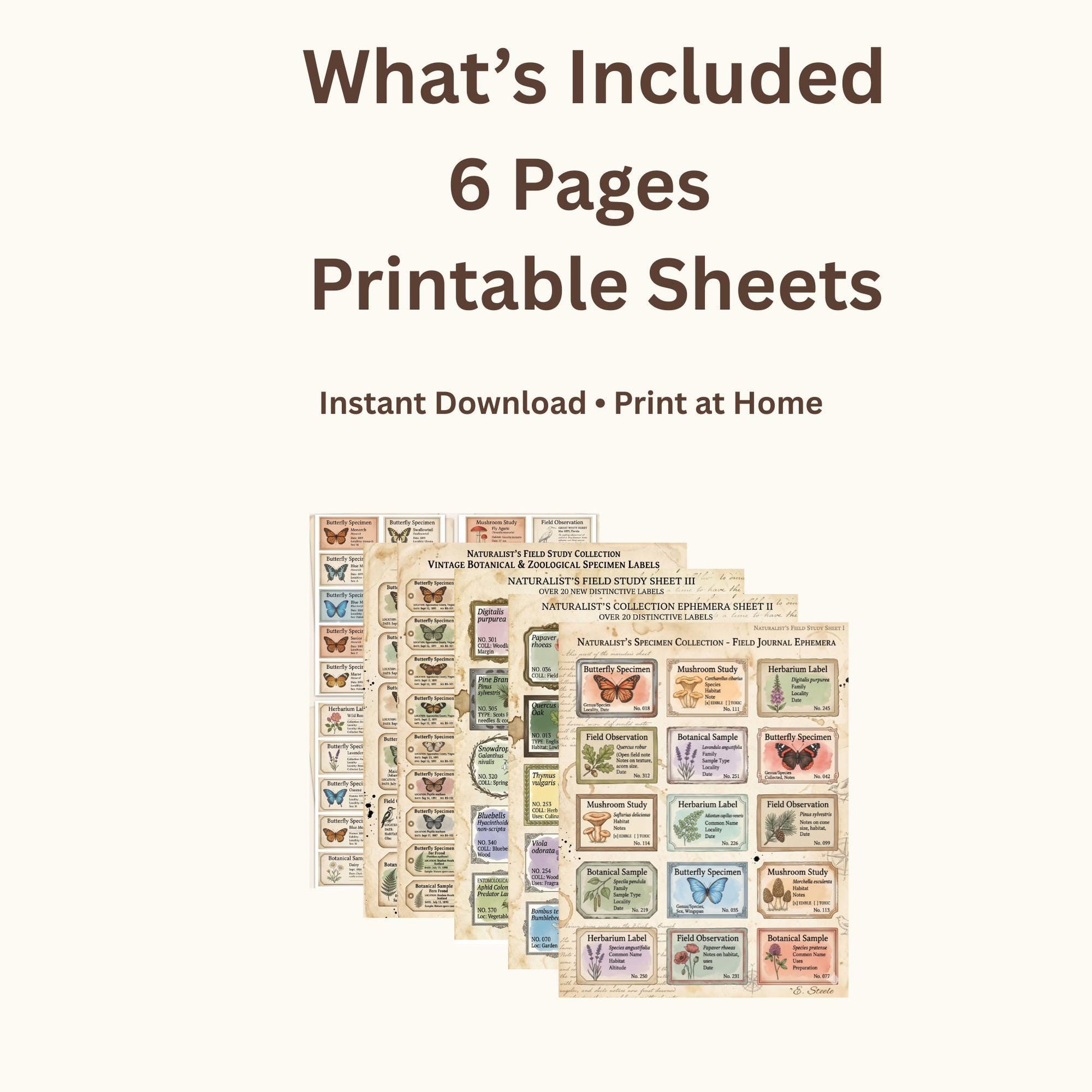 Naturalist’s Field Study Collection | Printable Botanical & Zoological Ephemera, Vintage Specimen Labels, Junk Journal Kit