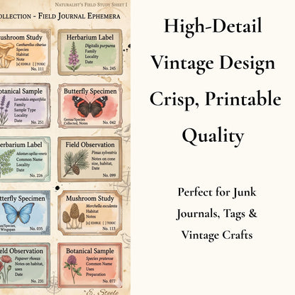 Naturalist’s Field Study Collection | Printable Botanical & Zoological Ephemera, Vintage Specimen Labels, Junk Journal Kit