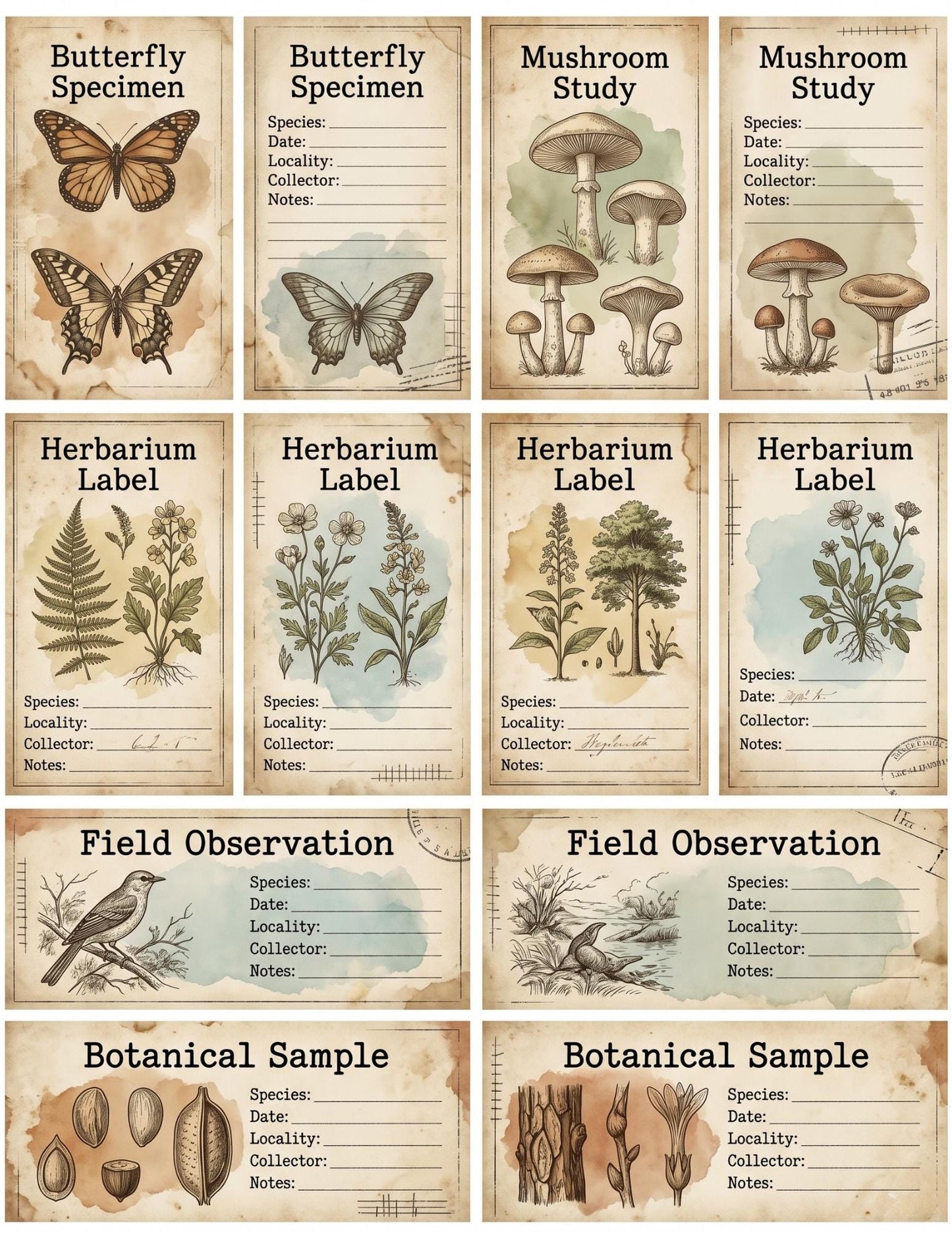 Naturalist’s Botanical Study Collection | Printable Vintage Ephemera, Botanical Labels, Mushroom & Butterfly Junk Journal Kit