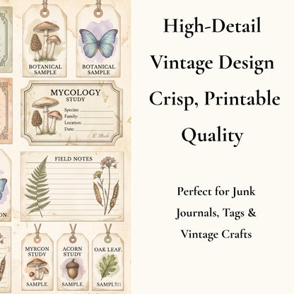 Naturalist’s Botanical Study Collection | Printable Vintage Ephemera, Botanical Labels, Mushroom & Butterfly Junk Journal Kit